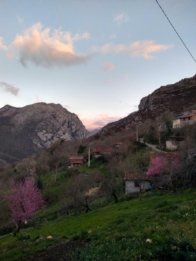 El Llagar Villa Vista  Eksteriør billede